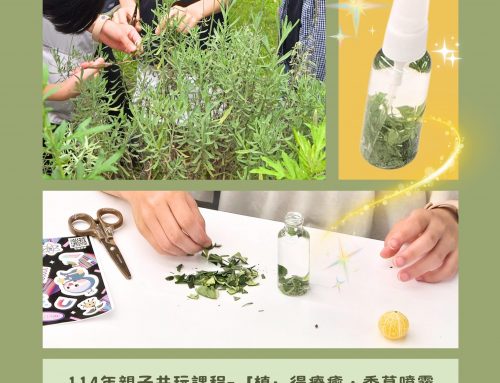🌿精彩活動回顧~親子共玩 ✨香草噴霧DIY