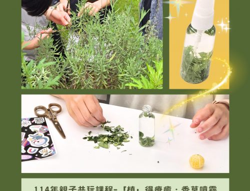🌿精彩活動回顧~親子共玩 ✨香草噴霧DIY