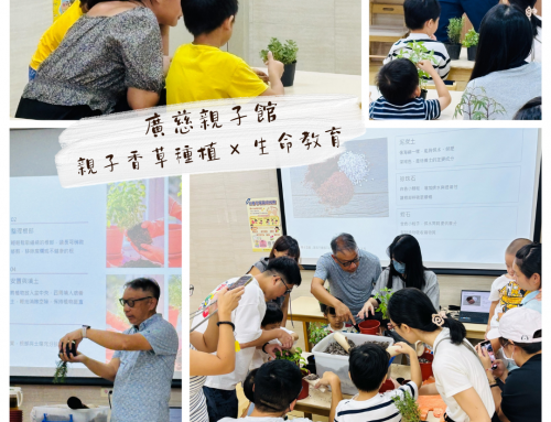 精彩回顧-親子香草種植 × 生命教育